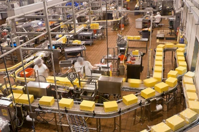 A modern processed cheese factory