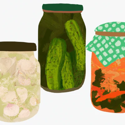 A variety of fermented foods