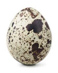 A quail egg